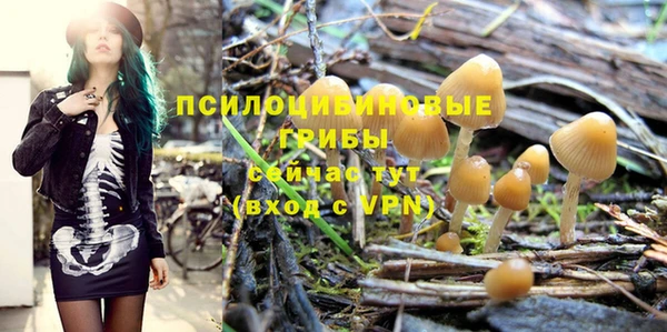 бошки Покачи