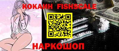 гидра Новодвинск
