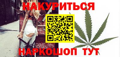 гидра Новодвинск