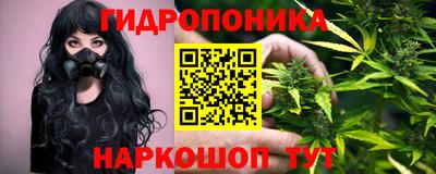 гидра Новодвинск