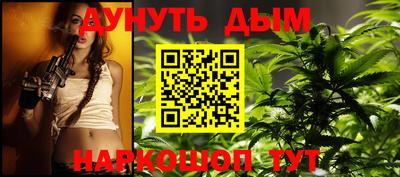 гидра Новодвинск