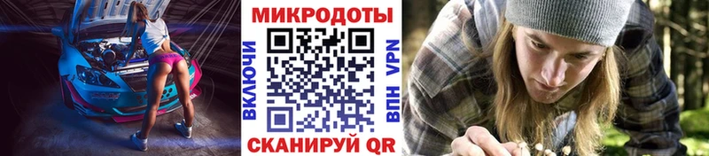 Псилоцибиновые грибы Psilocybe  мега маркетплейс  Усть-Джегута 