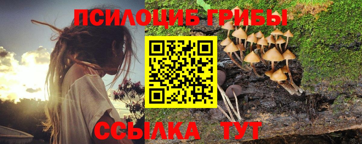Усть-Джегута  Псилоцибиновые грибы MAGIC MUSHROOMS  Галлюциногенные грибы MAGIC MUSHROOMS  Вход с VPN 