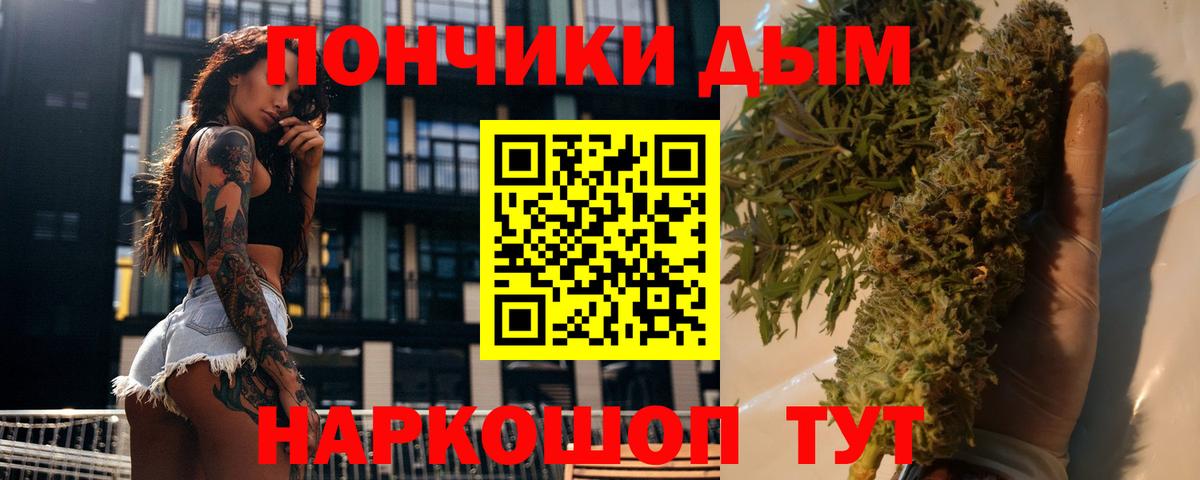 Канабис OG Kush  Канабис план  Вход с VPN  Усть-Джегута 